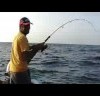 amberjack jigging