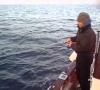 video ale75
