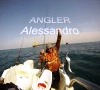 amici e palamite