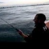 video traina col vivo
