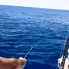 spinning tonno