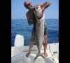 a pesca con Lupus Team