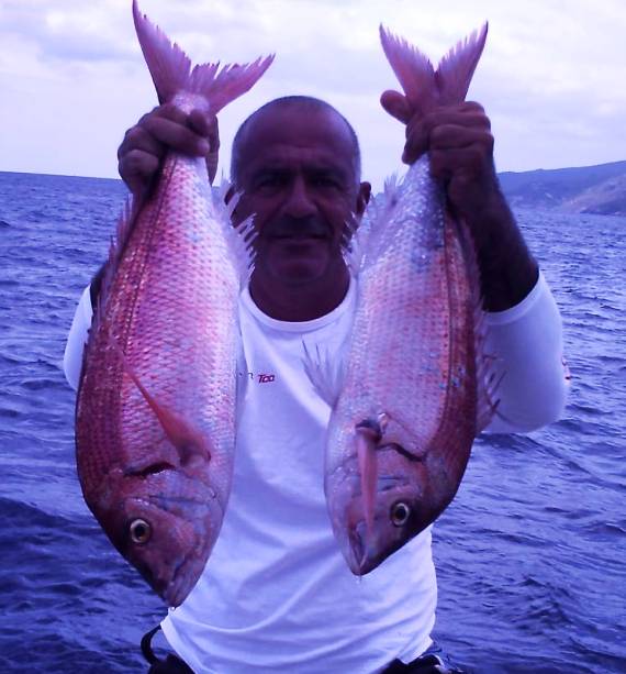 fragolini inchiku