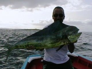 boavista 2008 1