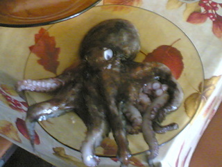 keoma polpo keoma polpo
