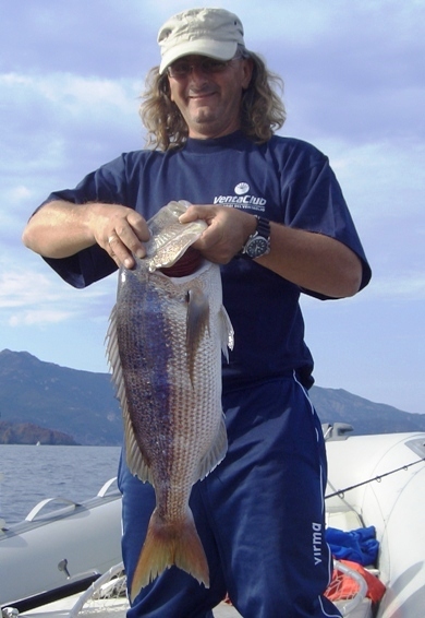 Domenico 2007
