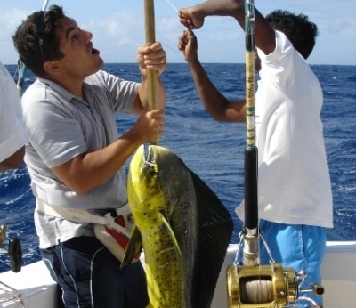 pacapaco lampuga