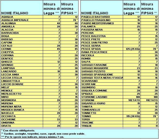 tabella misure minime