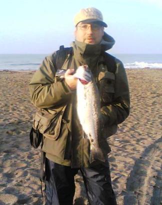 sirbone 2007 1