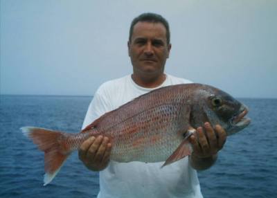 cetor praio