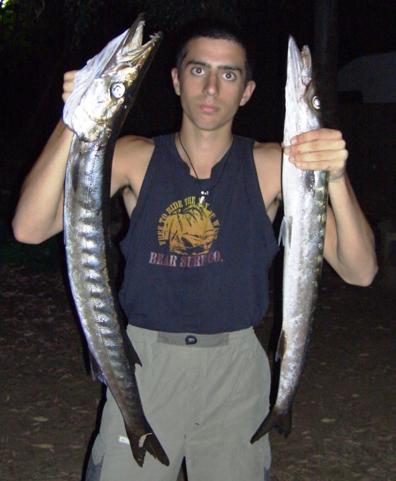 barracuda giorgio