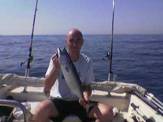 blackmarlin palamita