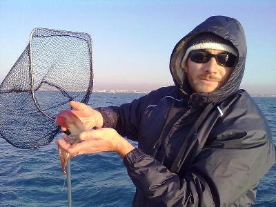 polpo blackmarlin