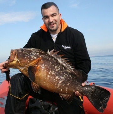 amb 2008 cernia amb 2008 cernia