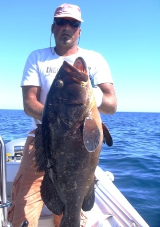 snapper 2007