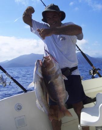 due dentici jigging