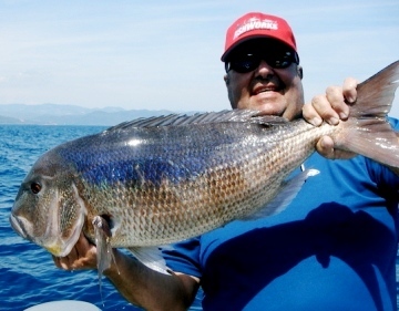 the king 2007 1