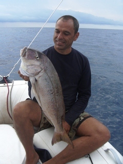 snapper 2007