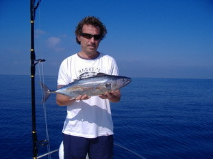 massi 2007 pala2
