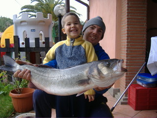 ale75 spigolona