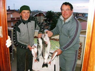 hermada spigole coffa 
