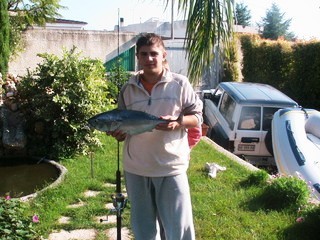 jigs alletterato