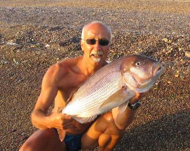 fausto 2007-B