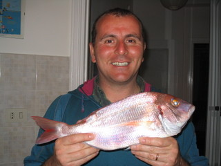 salesma fragolino