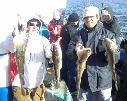 Burger Di Merluzzo D'Alaska – Lidl - Foto 9