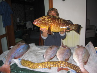 attila megapescata