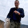 minifoto diemma orata