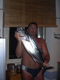 snapper palamita
