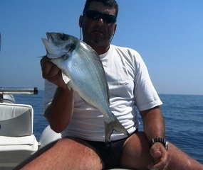 orata snapper 2 2008