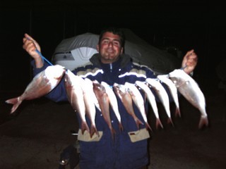 snapper fragolini