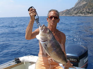paolo dentice