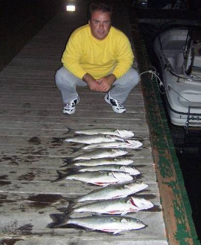 pesceserra 2007