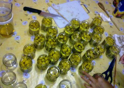 preparazione preparazione