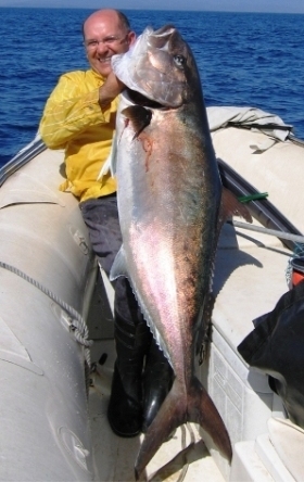 ambermax ricciola