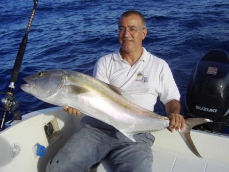 ricciola dodici
