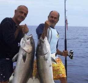ricciole jigging 15 e 16