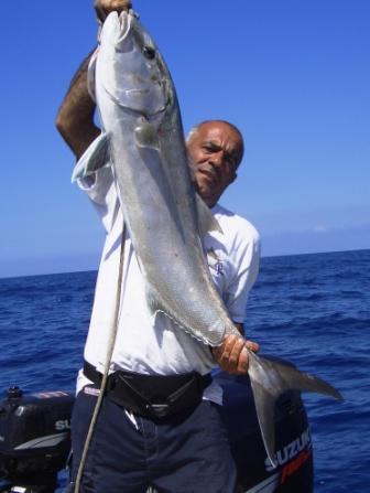 ricciola quindici