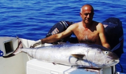 ricciola 35