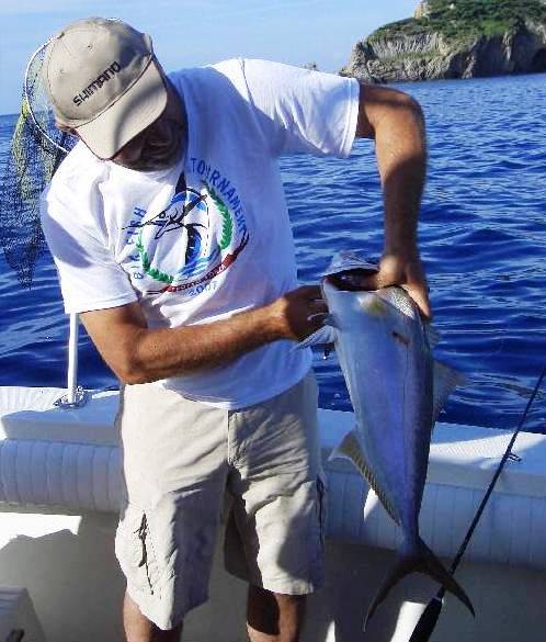 riccioletta a ponza