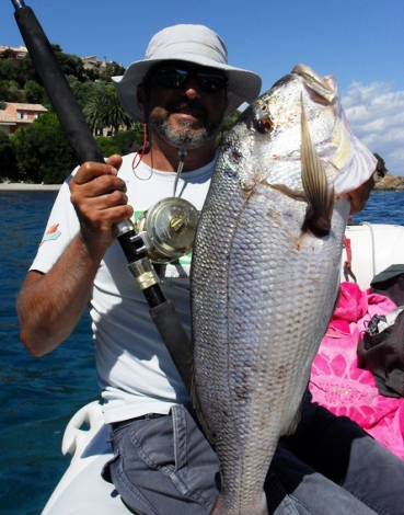 dentice snapper corsica