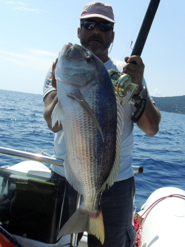 dentice snapper corsica sud