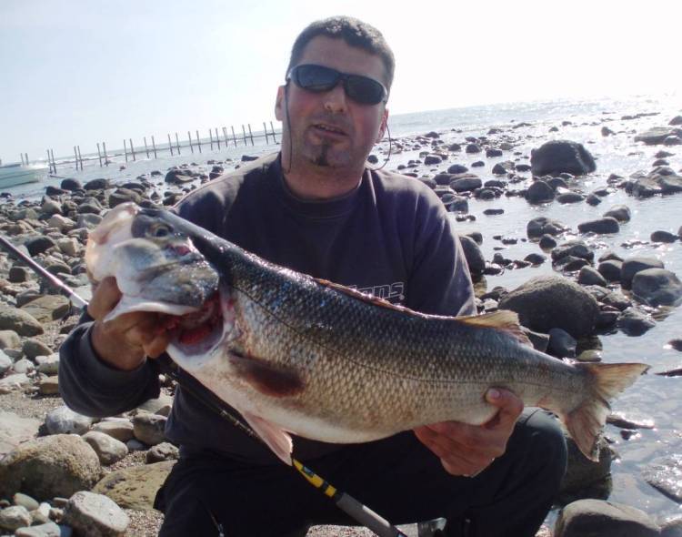 spigola di snapper
