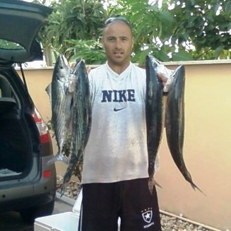 cecco palamite