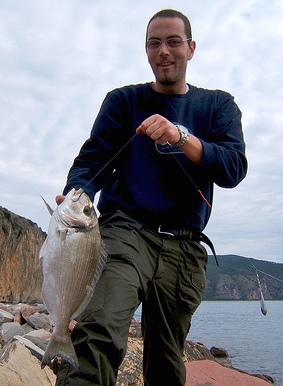 diemma orata